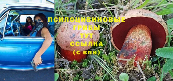 молекула духа Абинск