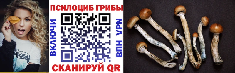 Галлюциногенные грибы мухоморы  купить закладку  Ростов-на-Дону 